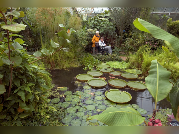 University of Dundee Botanic Garden