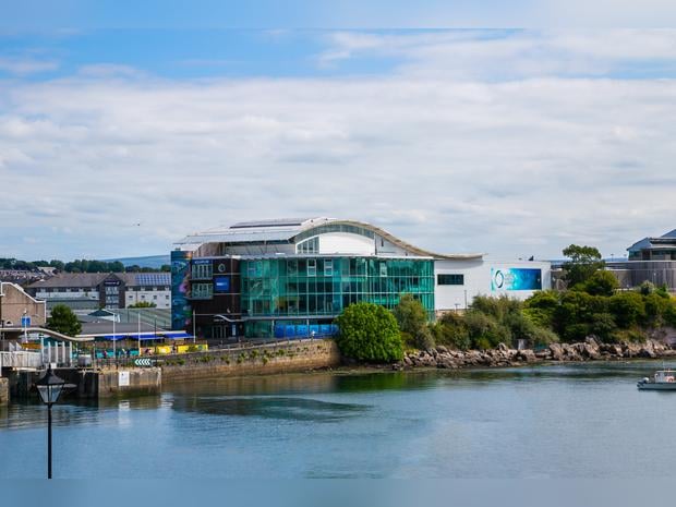 National Marine Aquarium