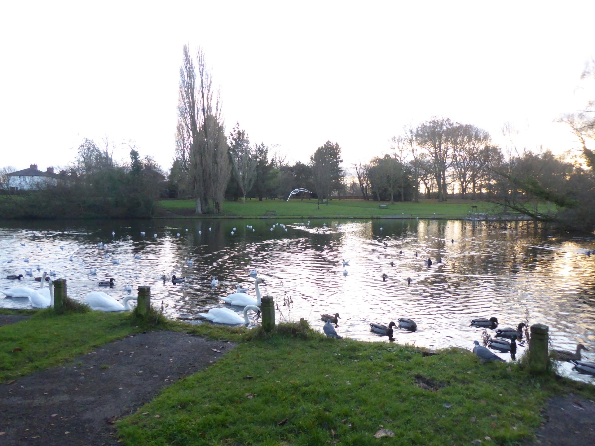 Haslam Park