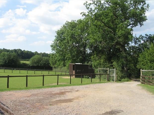 Bucklebury Farm & Deer Safari Park