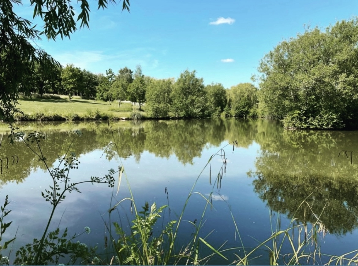 Escape to the Lake