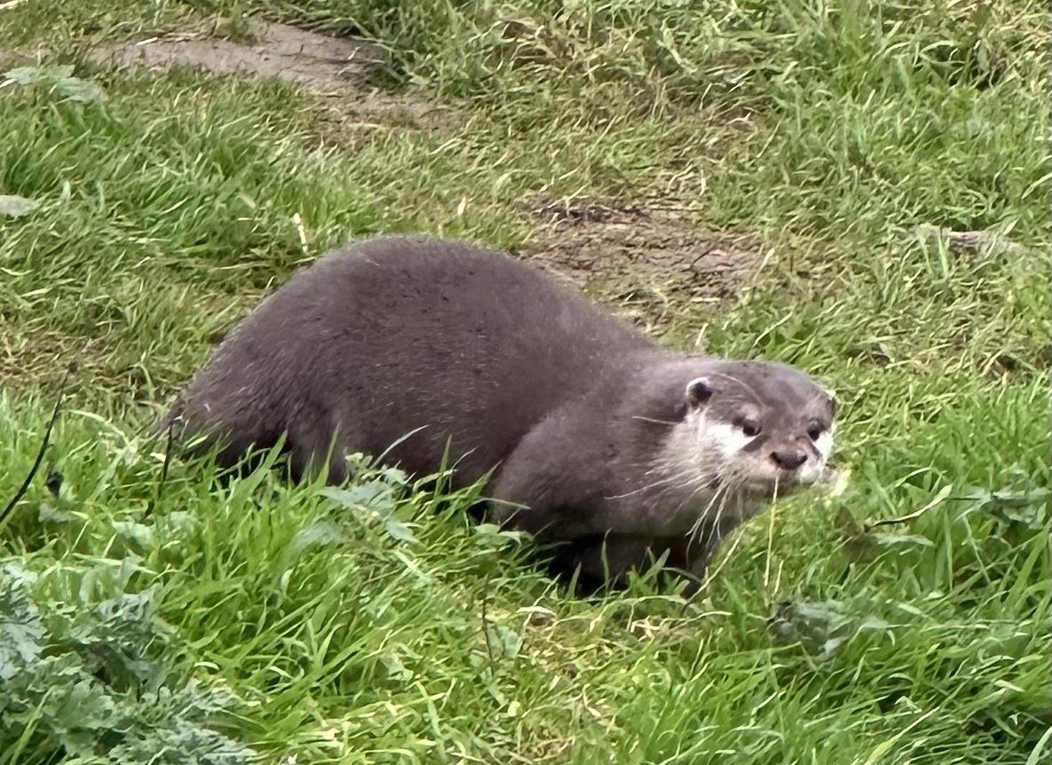 Bridlington Animal Park