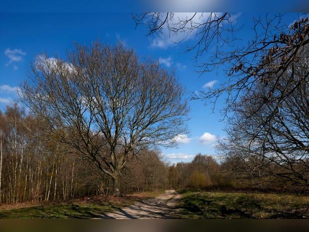 Hotels near Seckar Wood, United Kingdom from Best Western Hotels