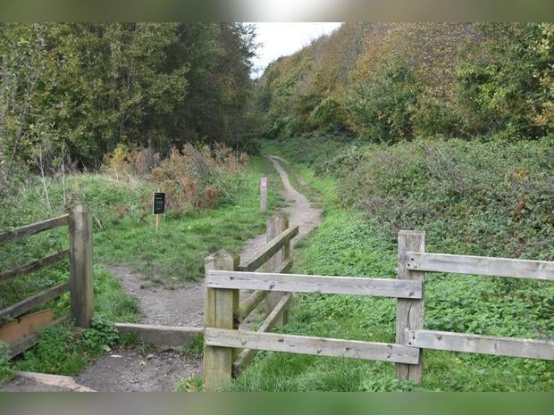 Jeskyns Community Woodland