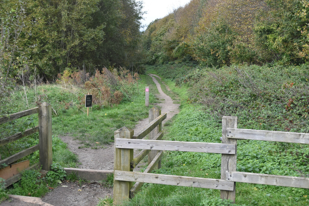 Hotels near Jeskyns Community Woodland, United Kingdom from Best Western Hotels