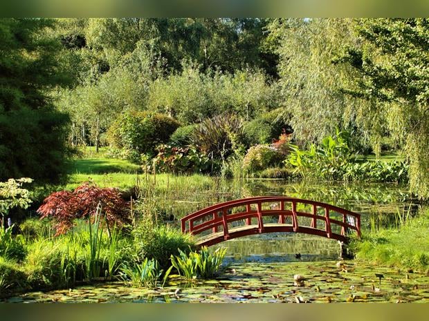Bennetts Water Gardens