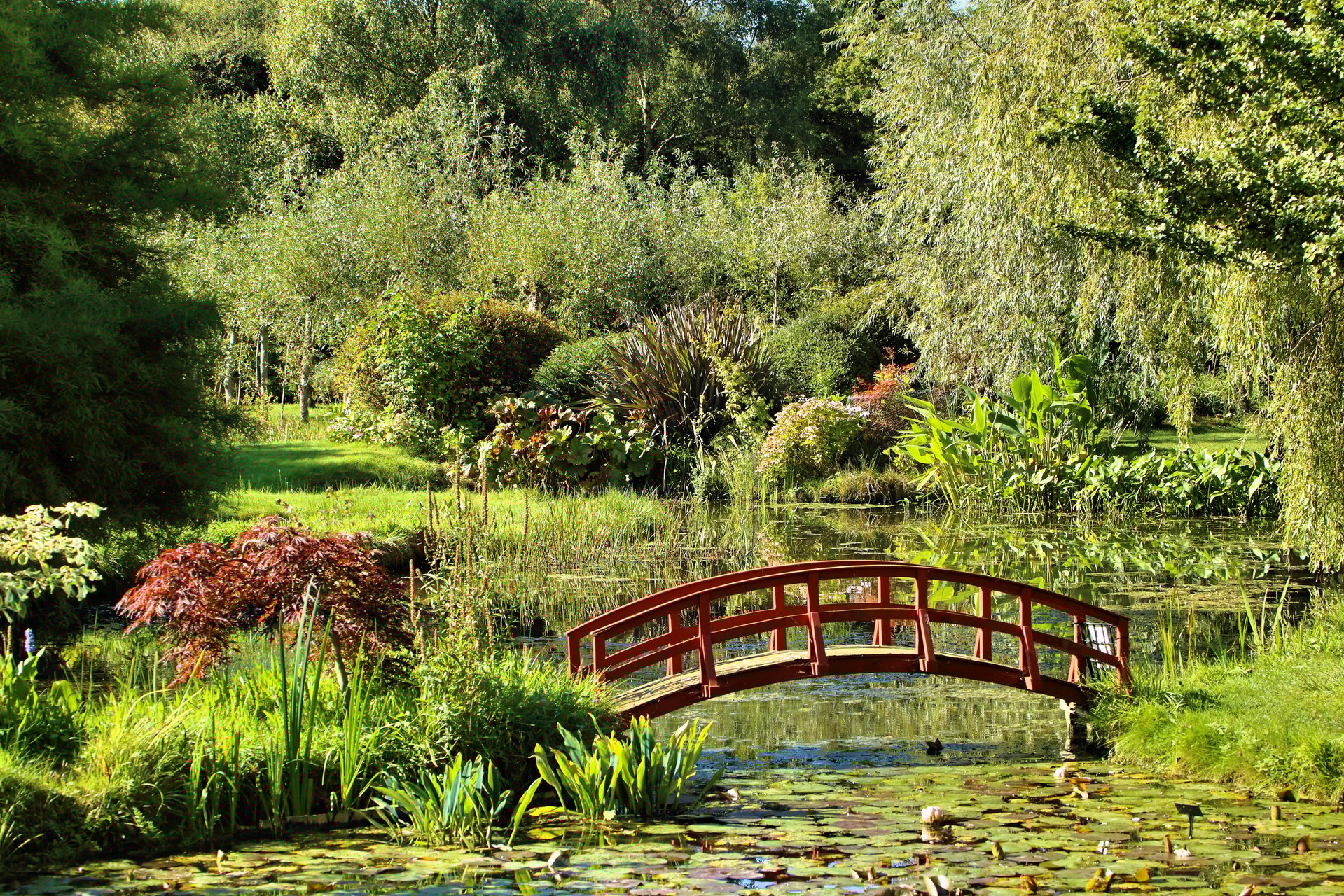 Hotels near Bennetts Water Gardens, United Kingdom from Best Western Hotels