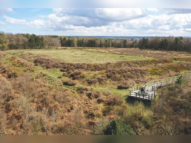 Cawthorn Roman Camps