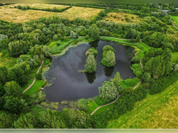 Mouldon Hill Country Park