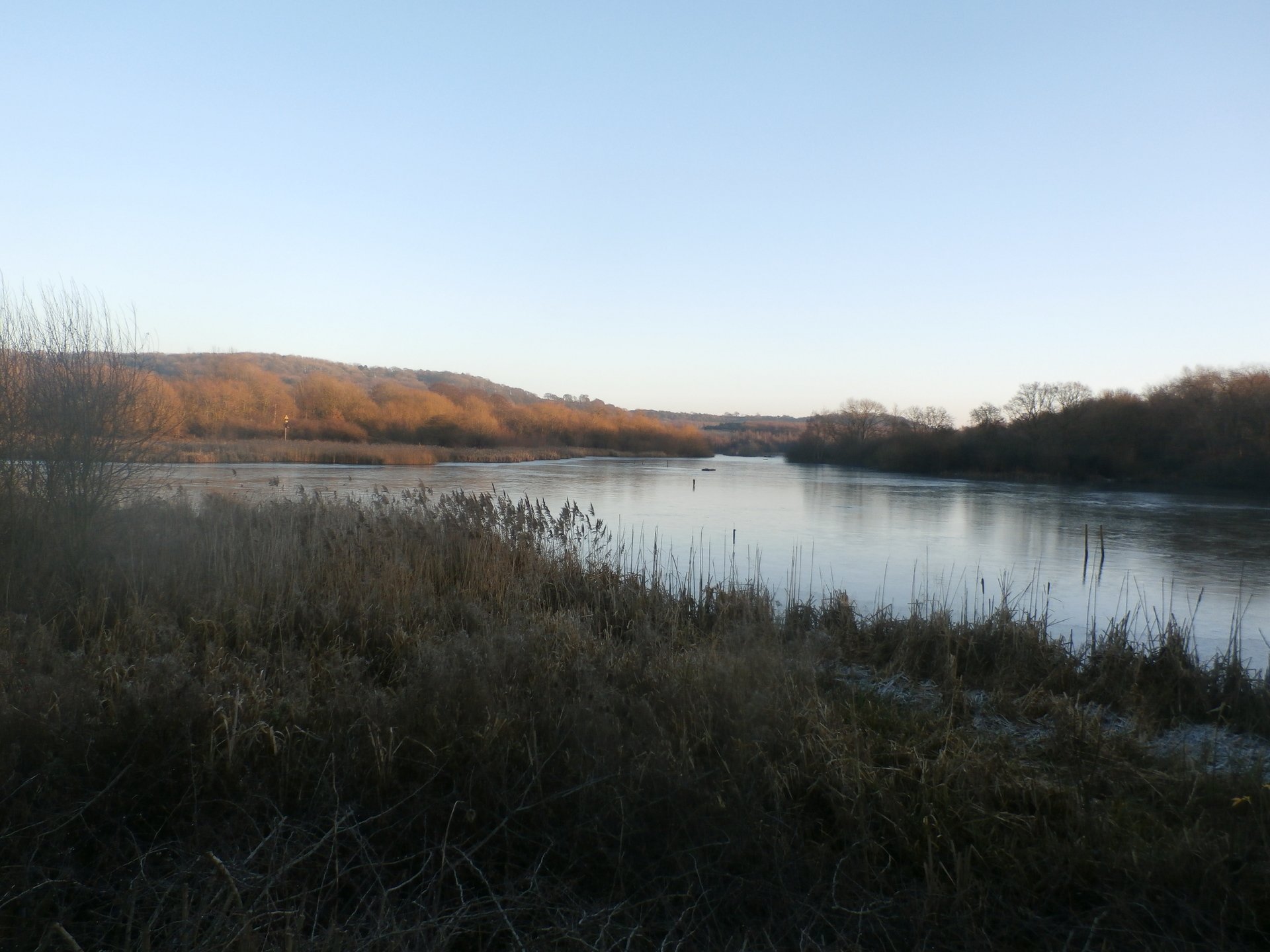 Denaby Ings Nature Reserve