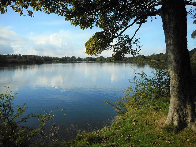 Seven Lochs Wetland Park