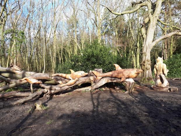 Stanton Country Park