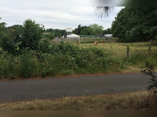 Hounslow Urban Farm