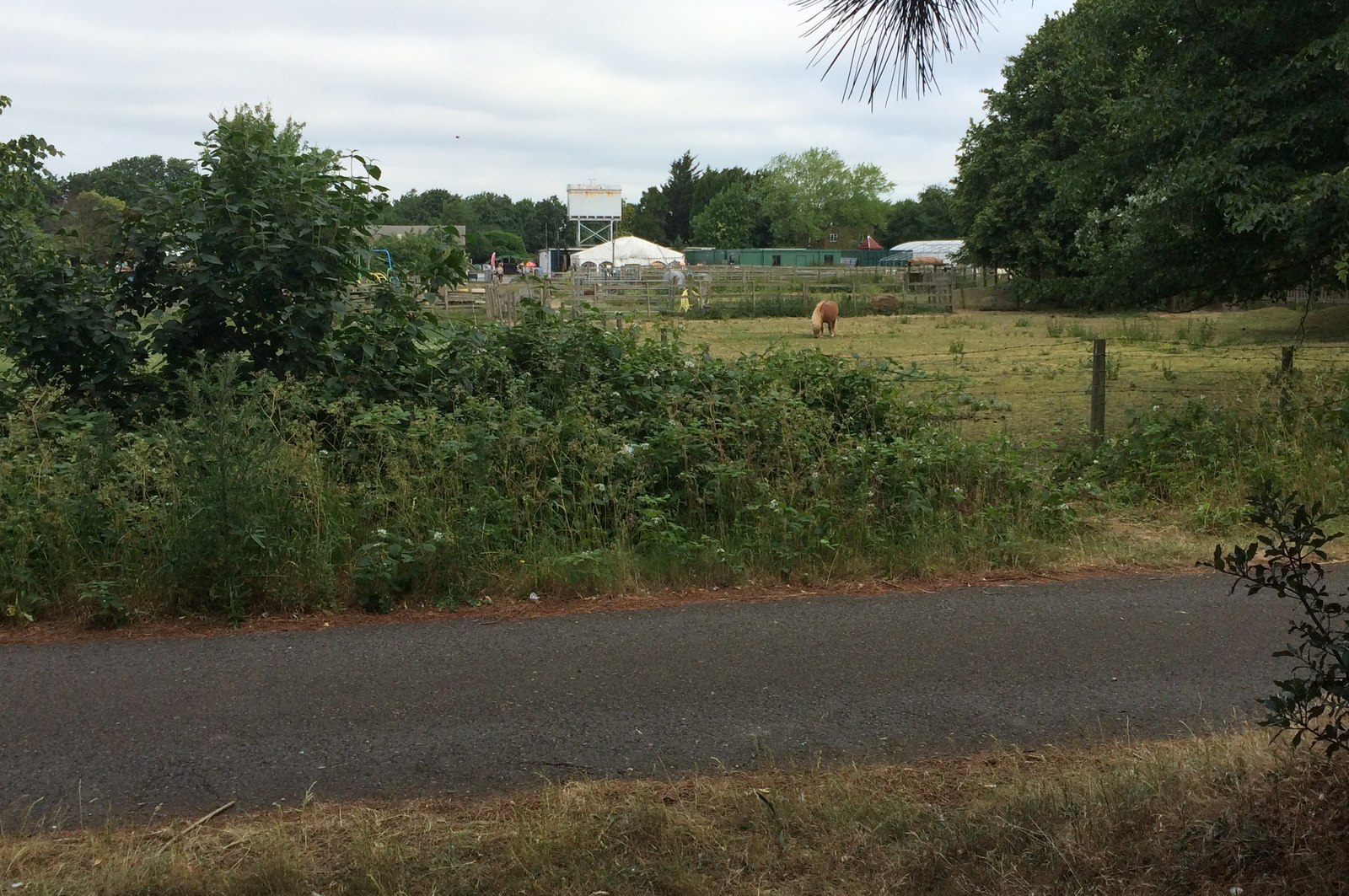 Hounslow Urban Farm