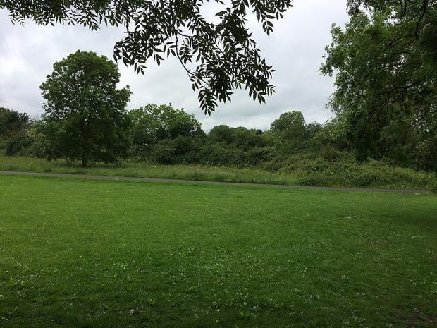 Hotels near Wapley Bushes Nature Reserve, United Kingdom from Best Western Hotels