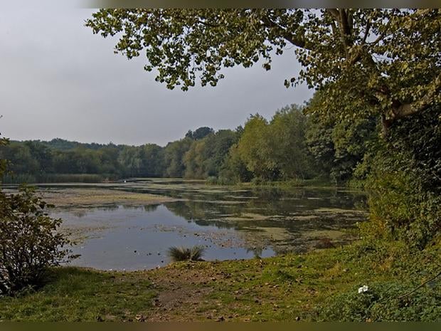 Oare Gunpowder Works Country Park