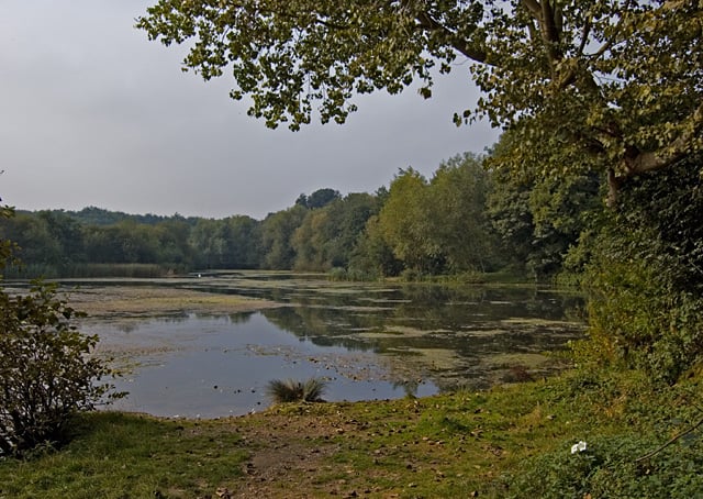 Hotels near Oare Gunpowder Works, United Kingdom from Best Western Hotels