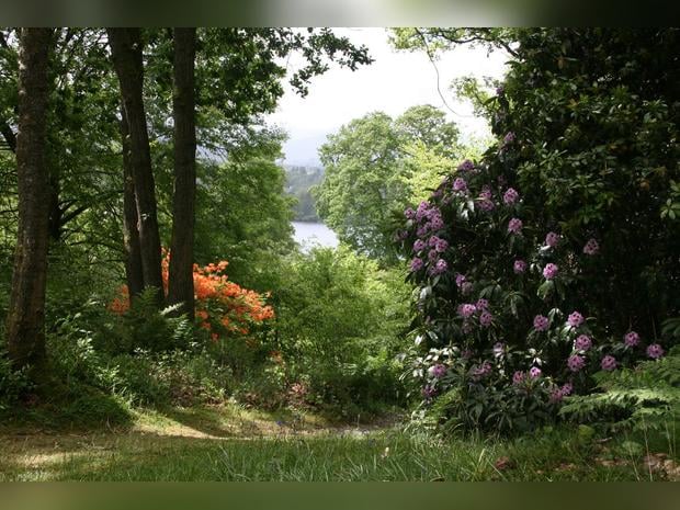 Stagshaw Gardens