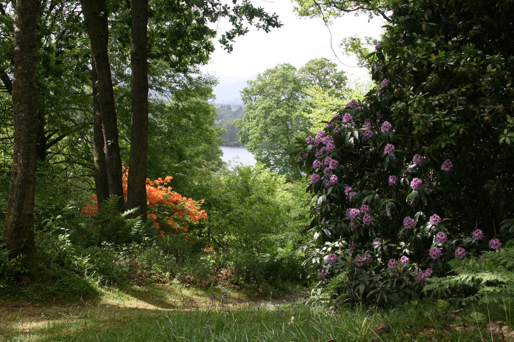 Stagshaw Gardens