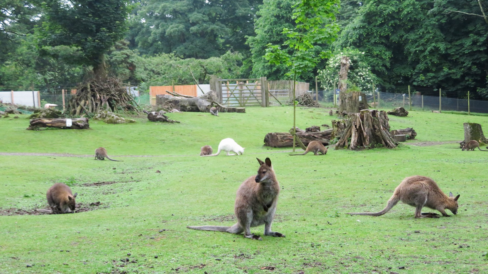 Manor Wildlife Park