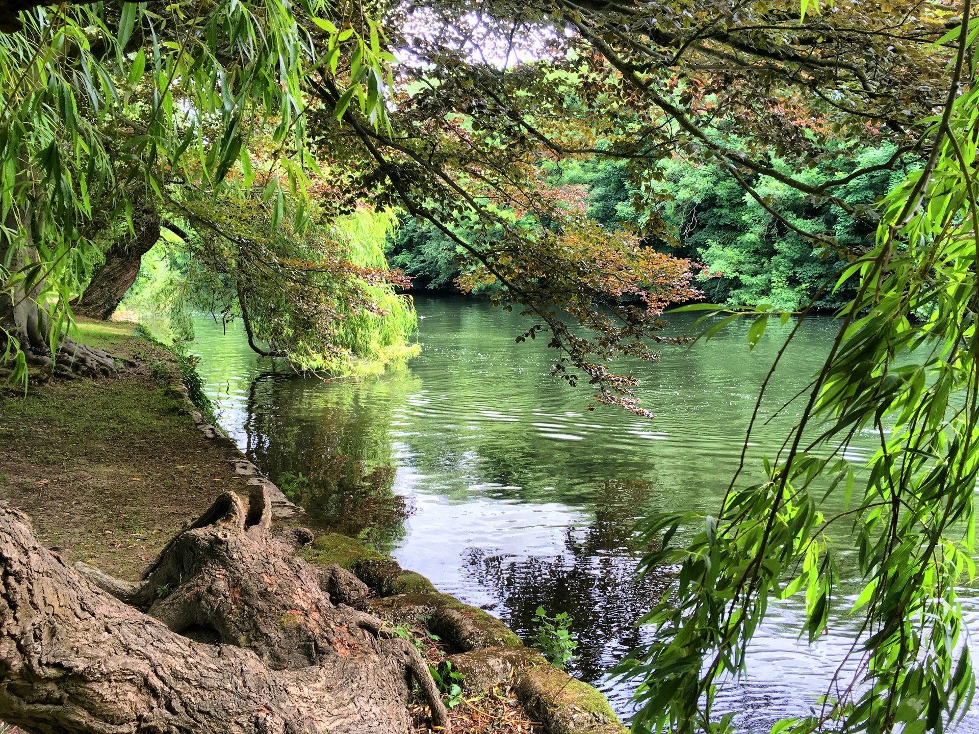 Ray Mill Island