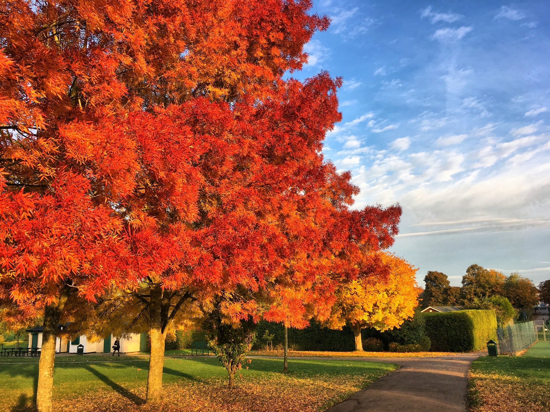 Oaken Grove Park