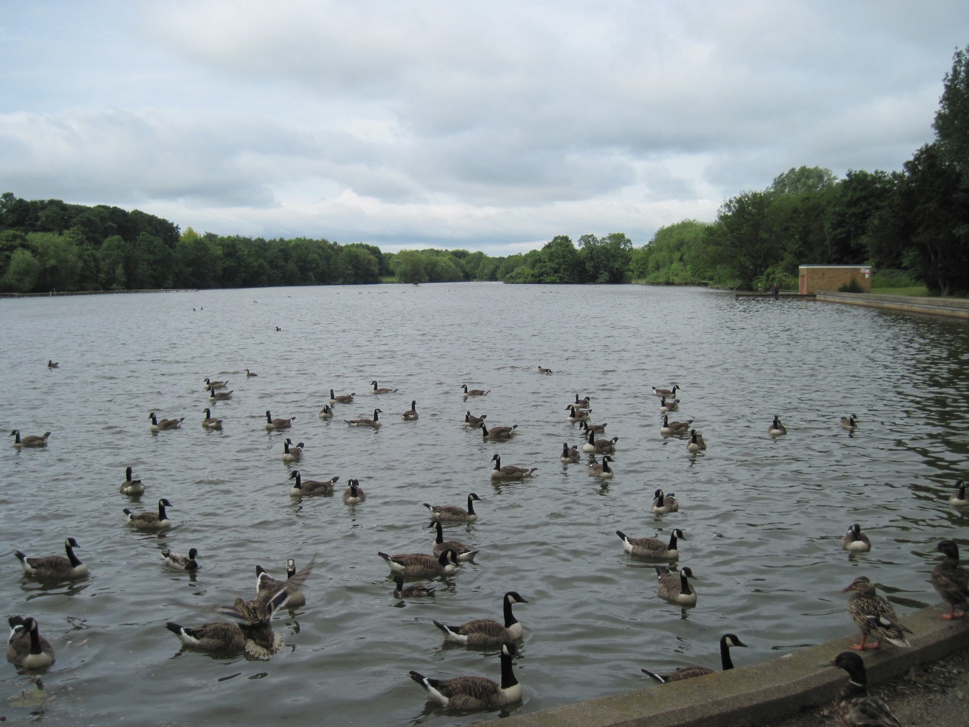Langold Country Park
