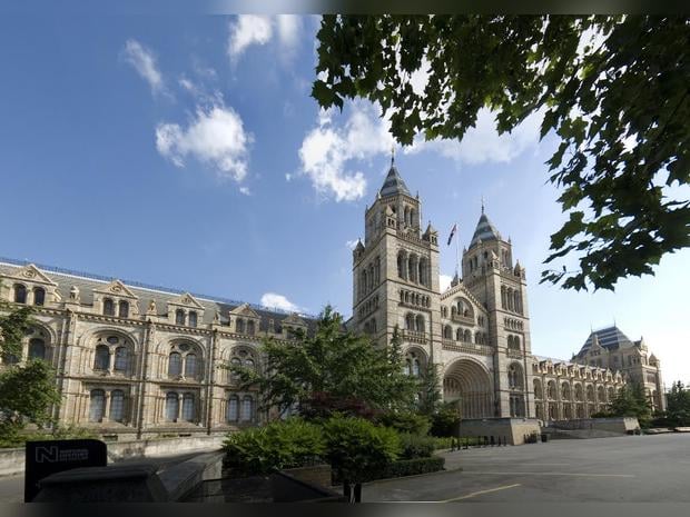 Natural History Museum