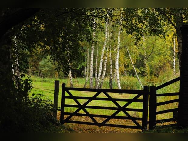Whisby Nature Park