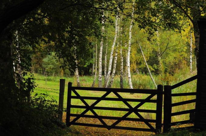 Whisby Nature Park