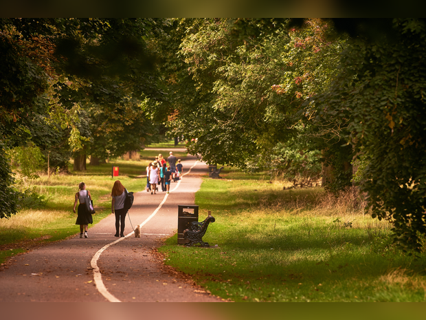 Cassiobury Park