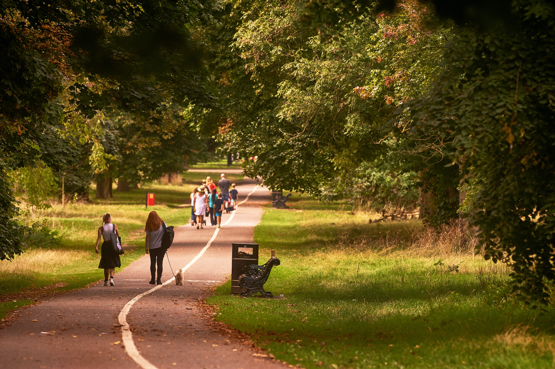 Cassiobury Park