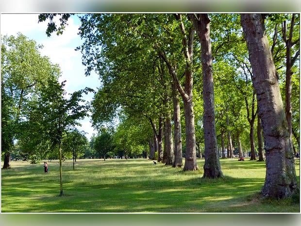 Hyde Park