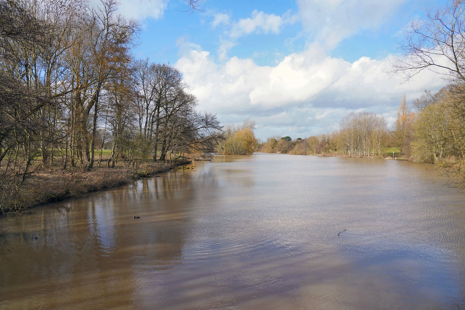 Markeaton Park