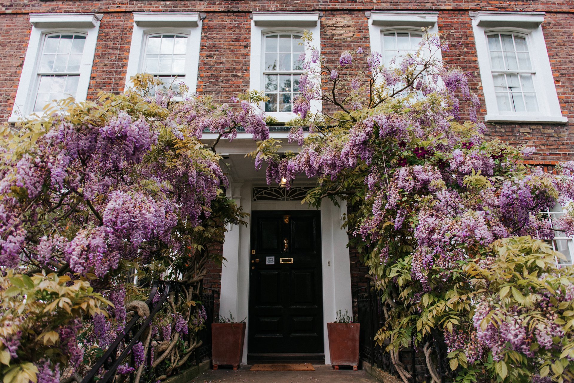 Burgh House and Hampstead Museum
