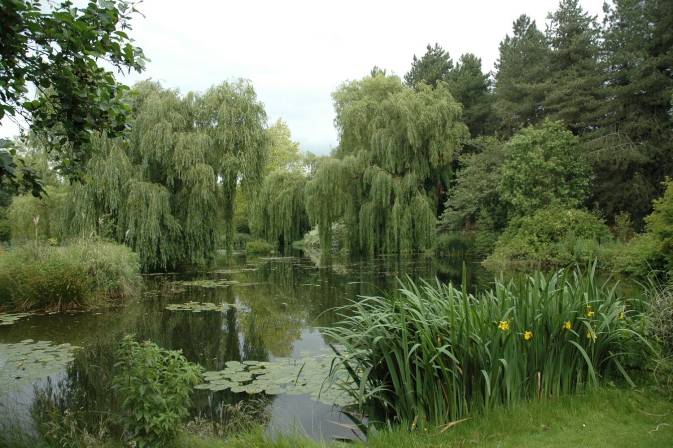 Gooderstone Water Gardens