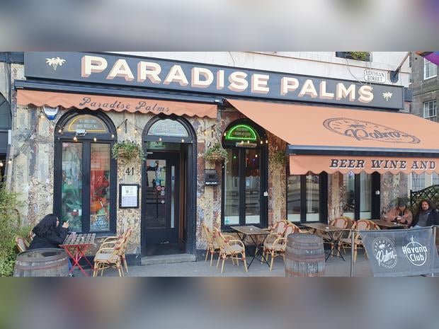 Paradise Palms