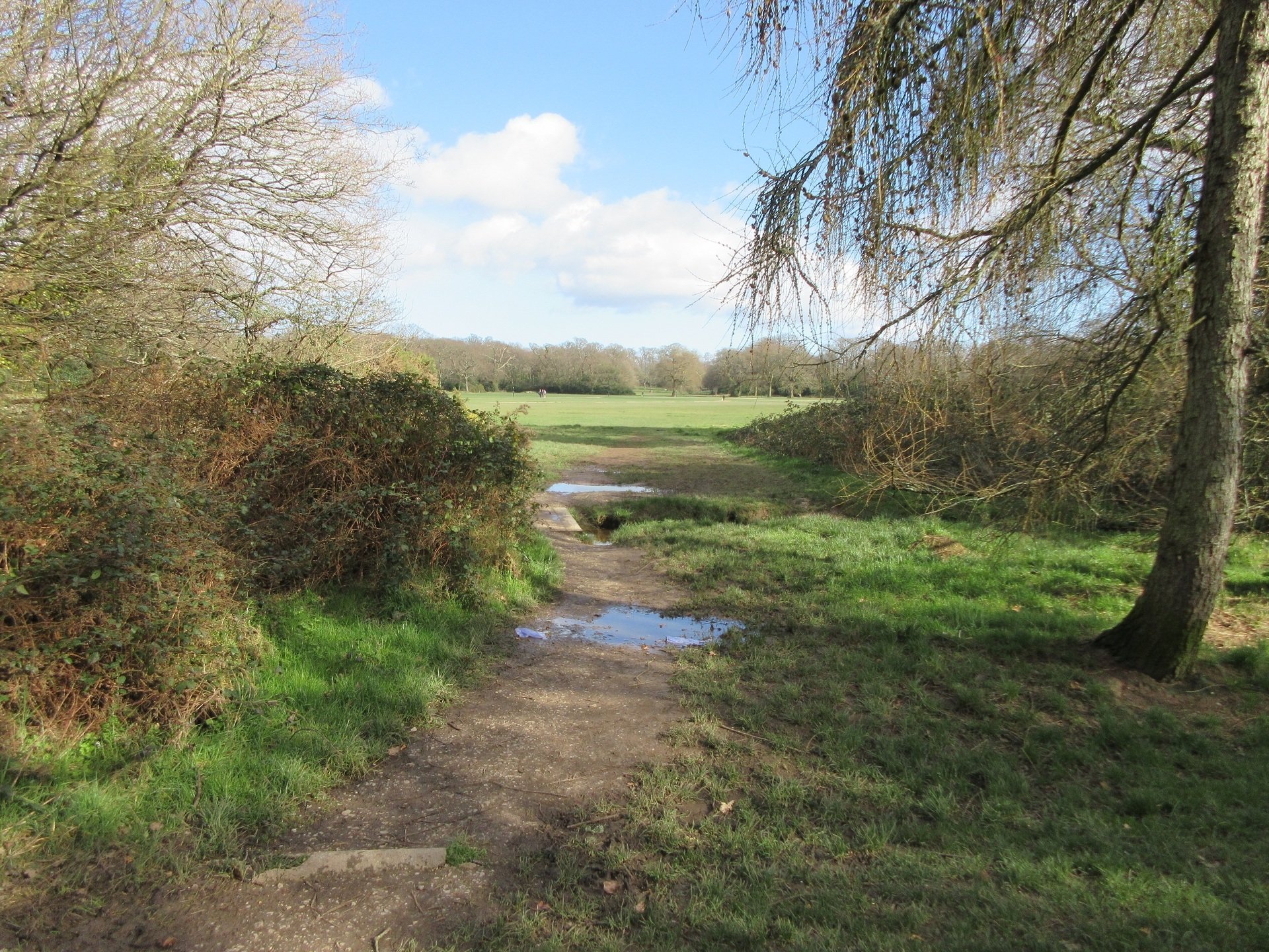 Southampton Common