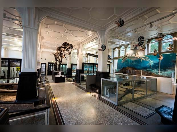 The Manchester Museum