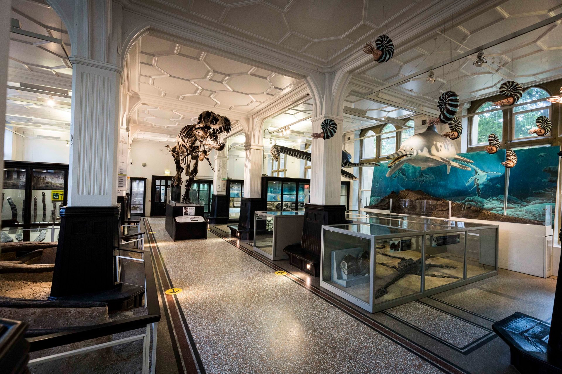 The Manchester Museum