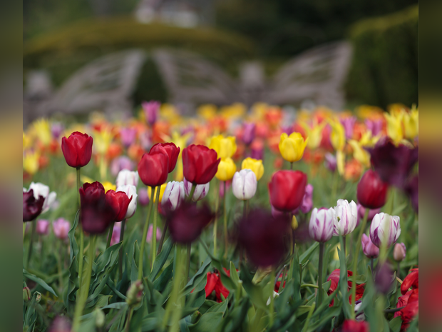 Hotels near Inverness Botanic Gardens, United Kingdom from Best Western Hotels