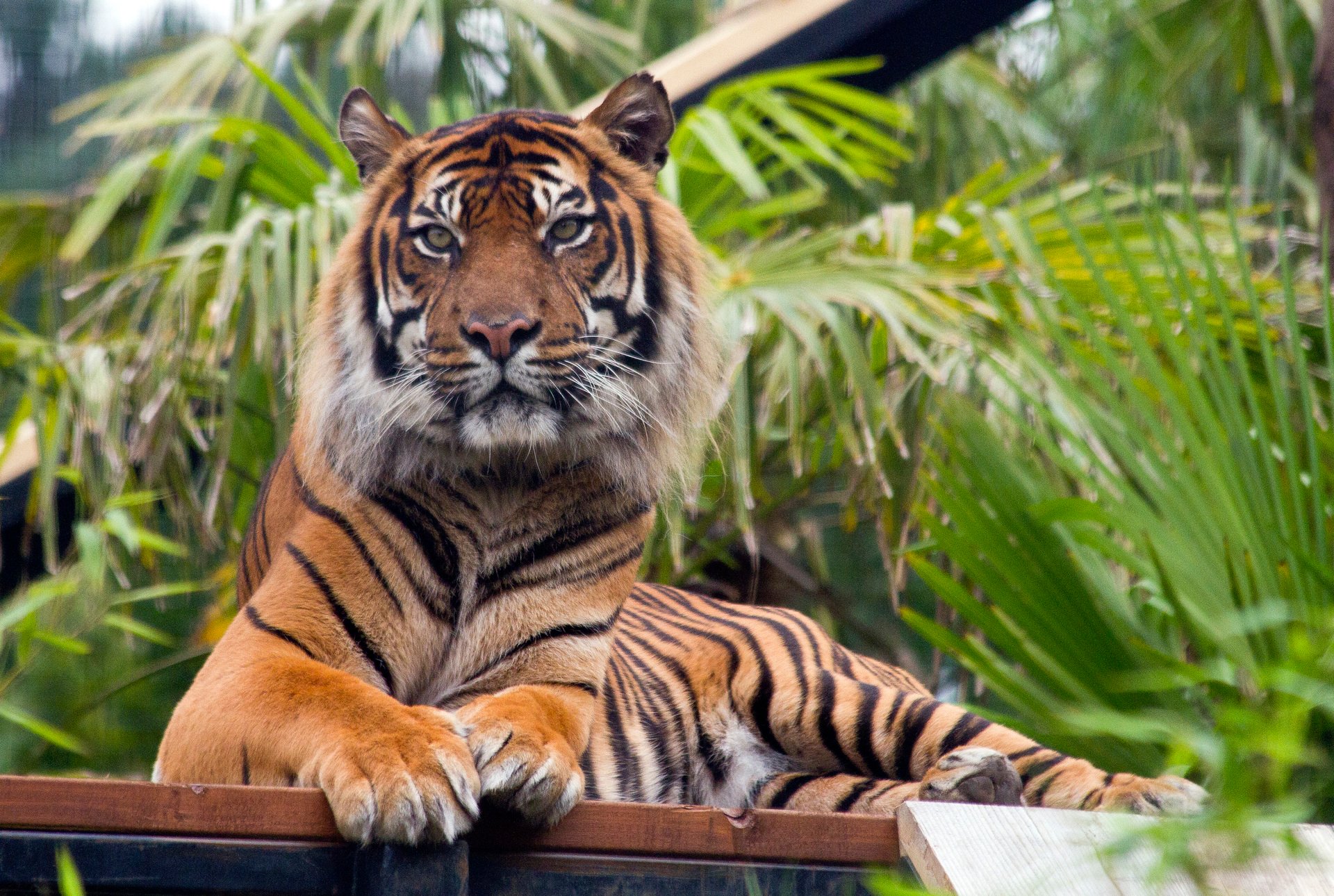Hotels near Edinburgh Zoo, Magheramorne Railway Station from Best Western Hotels