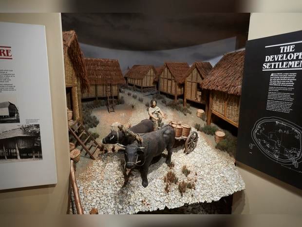 Andover Museum and Museum of the Iron Age