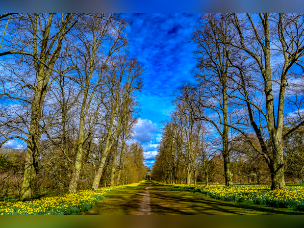 Nowton Park