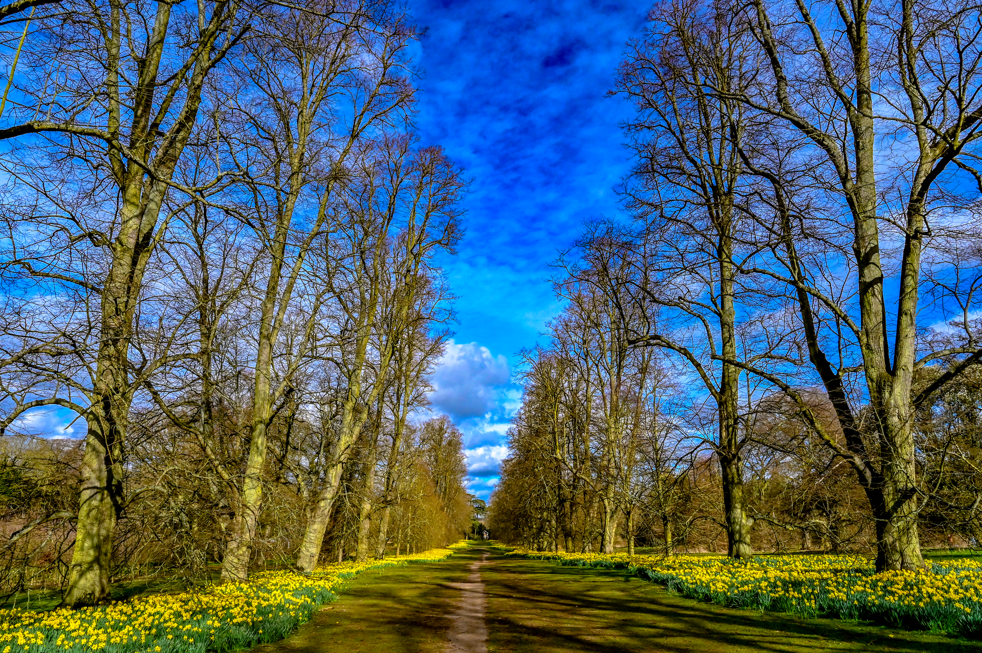Hotels near Nowton Park, United Kingdom from Best Western Hotels