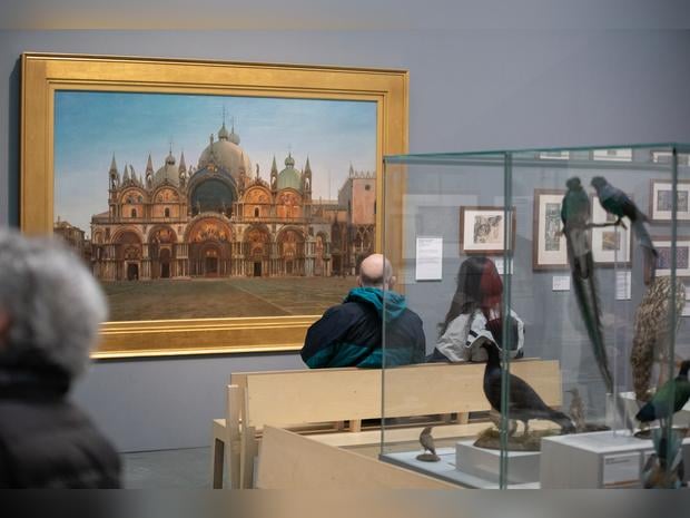 Hotels near Museums Sheffield: Millennium Gallery, United Kingdom from Best Western Hotels