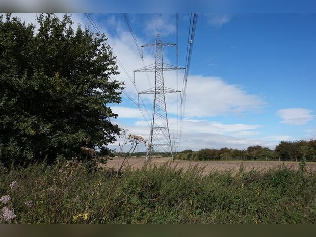 Beverley Parks Local Nature Reserve