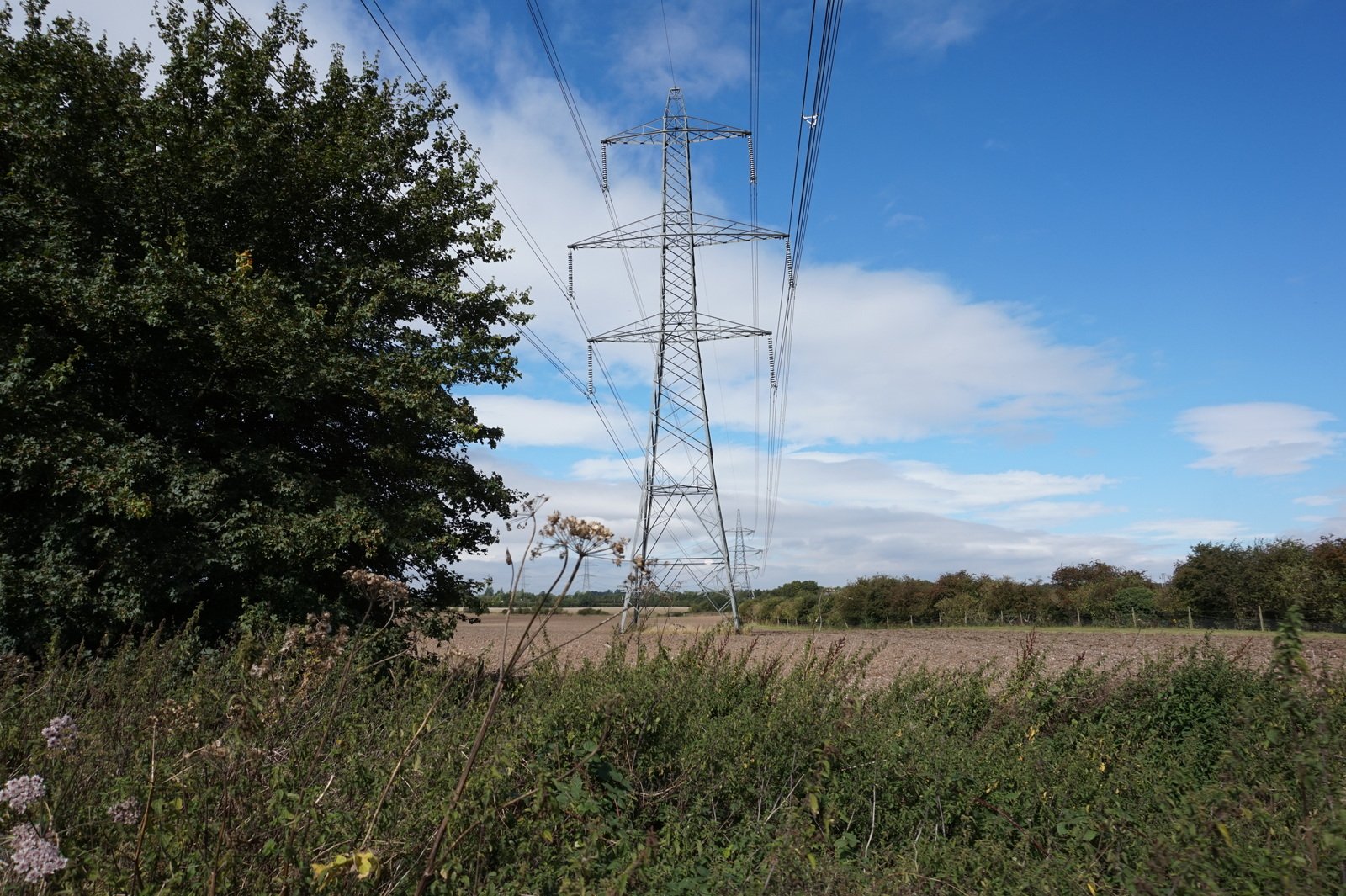 Beverley Parks Local Nature Reserve