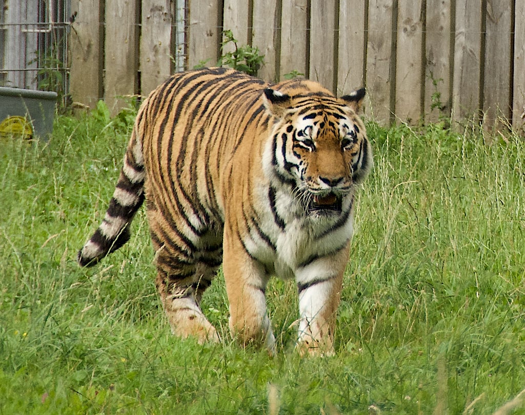 Hotels near Yorkshire Wildlife Park, United Kingdom from Best Western Hotels