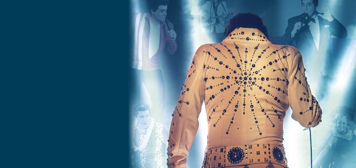 The Elvis Years